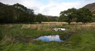 IMG 20250124 WA0019
