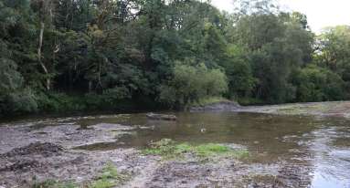 IMG 20250124 WA0020