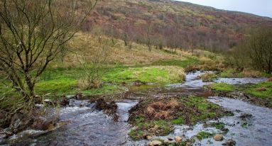 IMG 20250124 WA0008 1