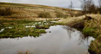 IMG 20250124 WA0013