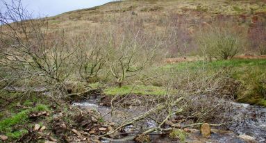 IMG 20250124 WA0017 1