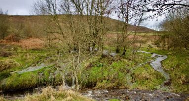 IMG 20250124 WA0016 1