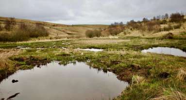 IMG 20250124 WA0014