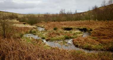 IMG 20250124 WA0018