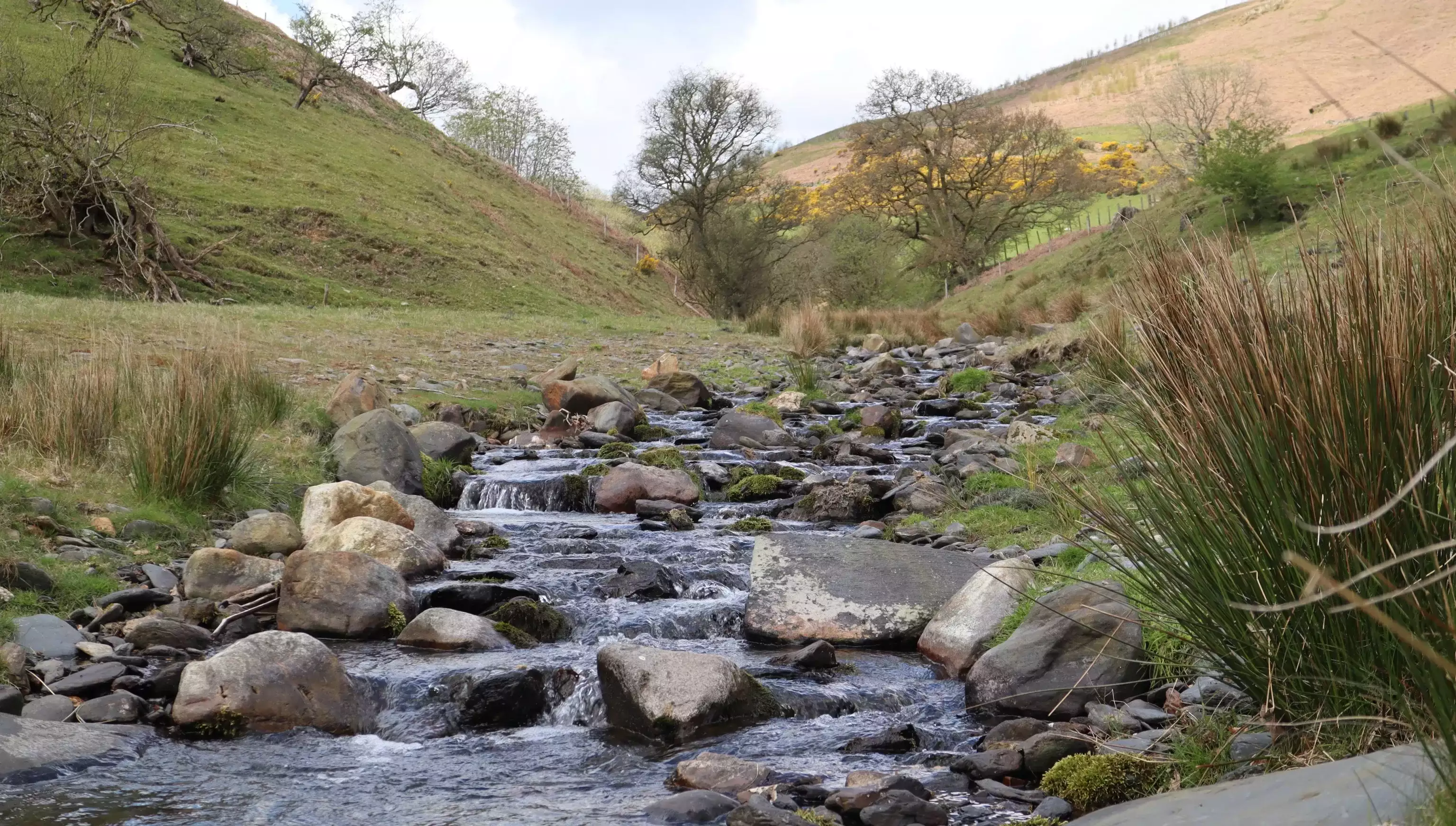 IMG 0439 2024 05 01 173021 buzk 4f34f2c2ea86e51da539696ffe6ed00c