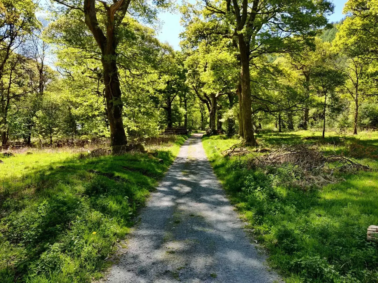 Walk around Loweswater 12