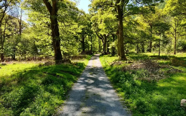 Walk around Loweswater 12