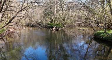 IMG 20250519 WA0030