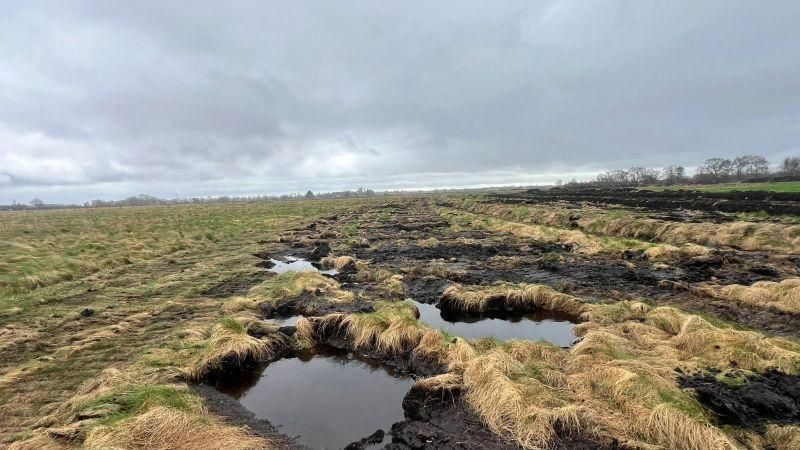 1710542414439 2024 03 21 115920 sfps