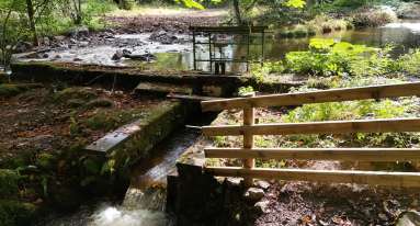 IMG 20250905 WA0028