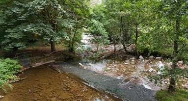 IMG 20250904 WA0021