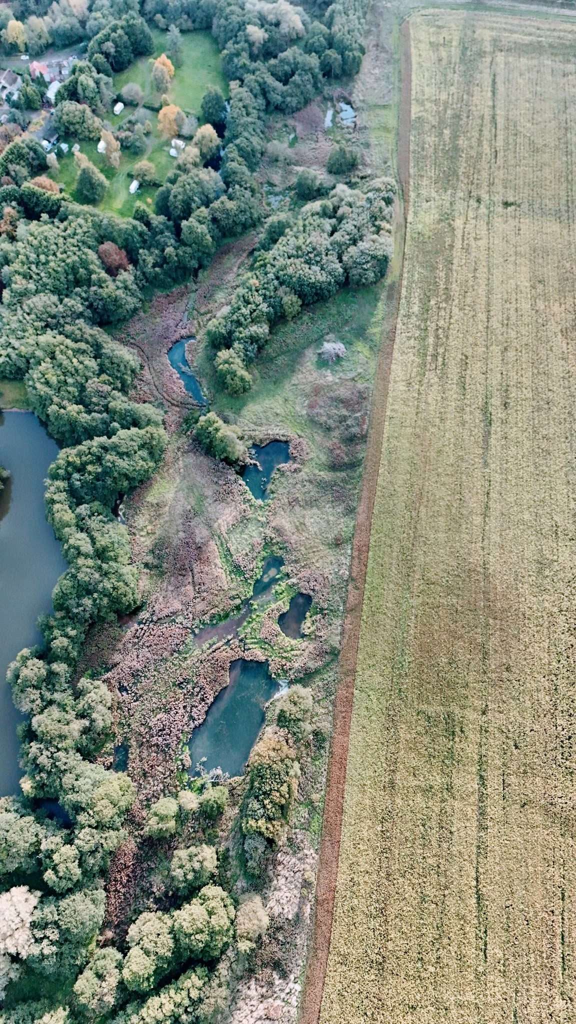 Original b18c426f 0189 4096 9f51 460140cdef0f IMG 20251029 WA0009