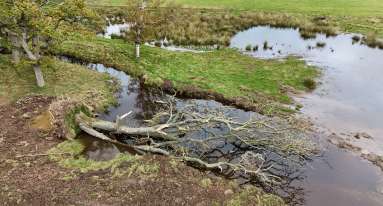 Dji fly 20251023 125234 0841 1761220129005 photo