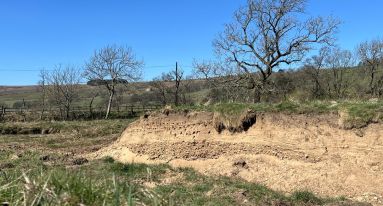 IMG 20251031 WA00091