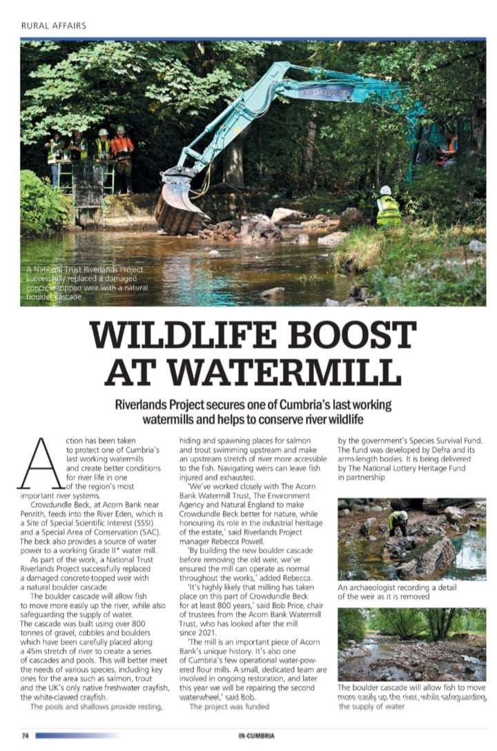 Original 57efd380 84fb 4593 95f2 9664544bc5cd IMG 20251111 WA0022