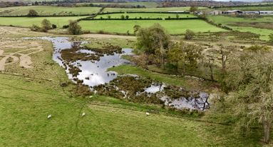 Dji fly 20251023 123924 0814 1761220253114 photo1