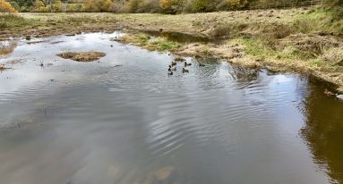 Dji fly 20251023 124940 0832 1761220141790 photo1