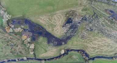 Dji fly 20251110 075504 0851 1762761097753 photo1