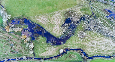 Dji fly 20251110 075504 0851 1762761097753 photo1 bd21f27d132b5a059b56f14430f7220c