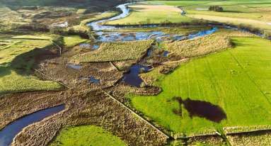 IMG 20251202 WA0022 1