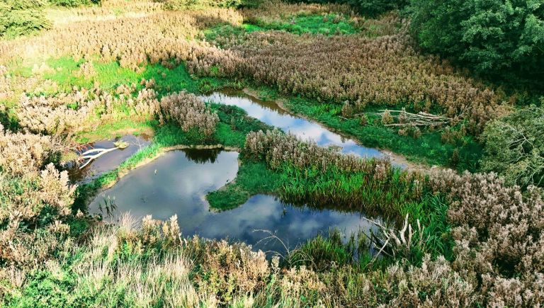 Original 9eb2b73e 97ad 4ee0 9940 b3dbdafa229d IMG 20251029 WA0004