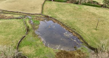 Dji fly 20241217 125726 0953 1772648789743 photo1