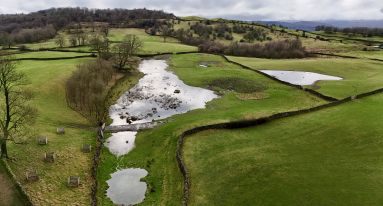 Dji fly 20241217 130142 0957 1772648758451 photo1