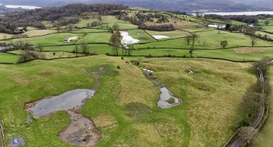 Dji fly 20241217 125128 0944 1772648827288 photo1