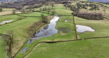 Dji fly 20241217 125216 0945 1772648826229 photo1