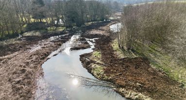 Dji fly 20250319 135938 0025 1742414056037 photo