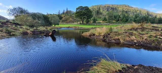 Thirlmere Wetland Habitat Creation 2